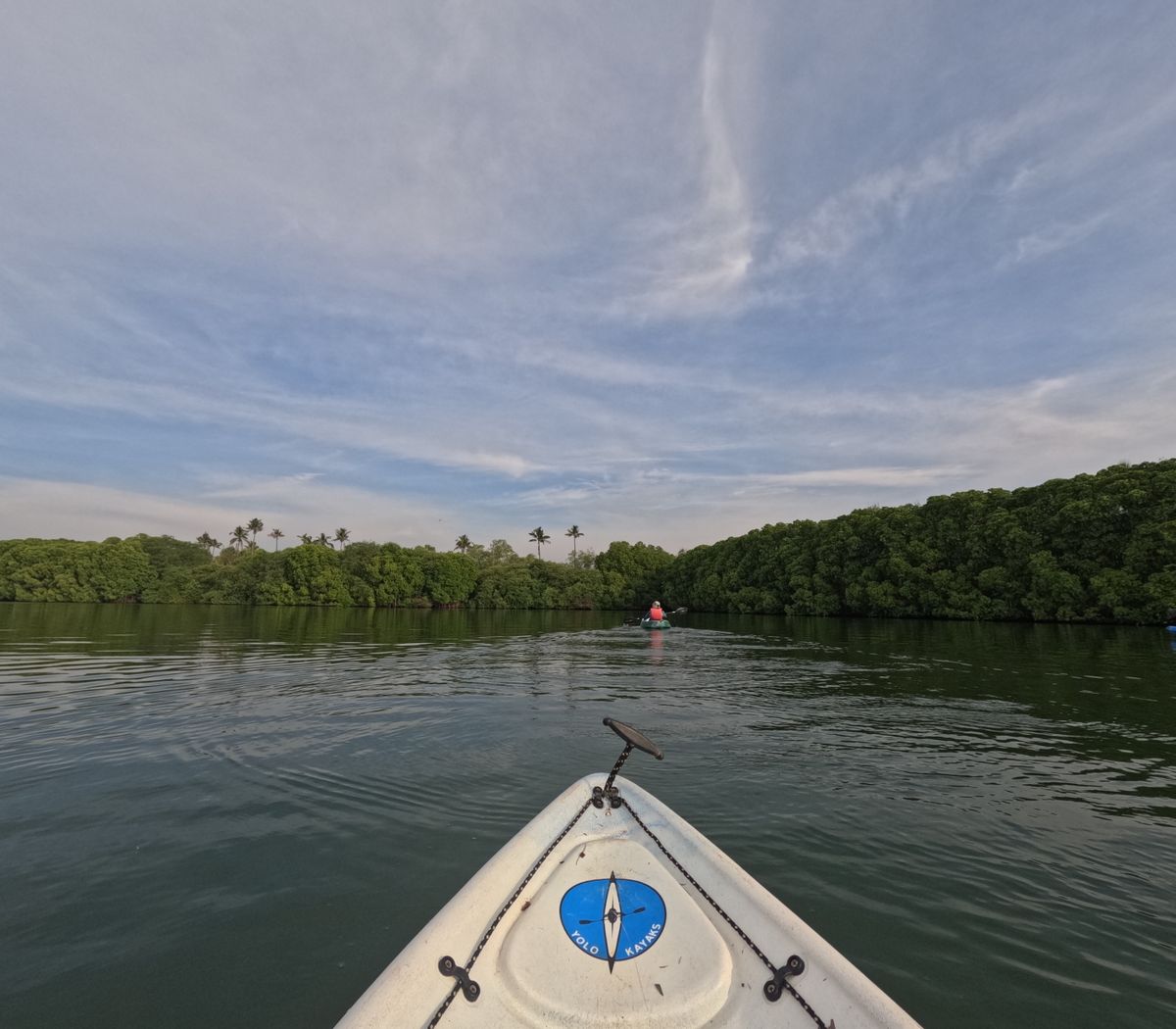 Mangrove kayak